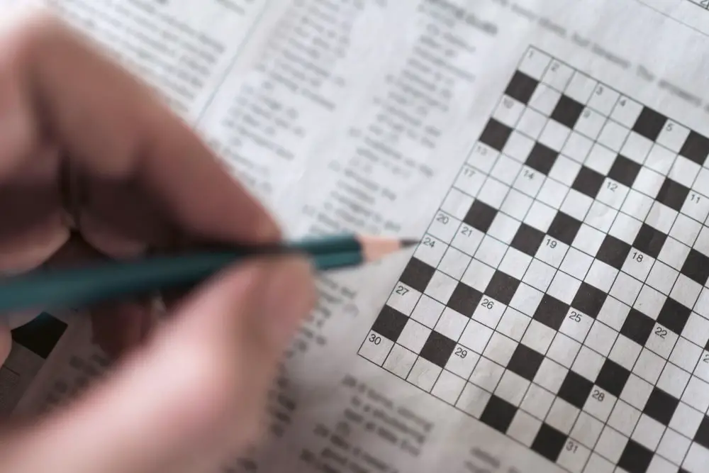 amtrak crossword clue