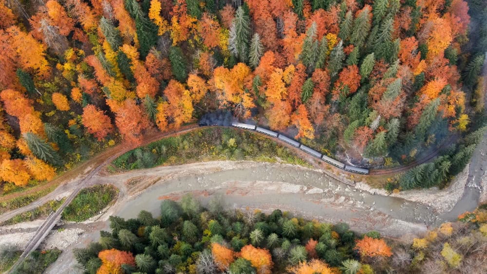 big heavy passenger train in the wildlife