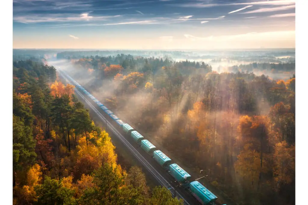 freight train on forest