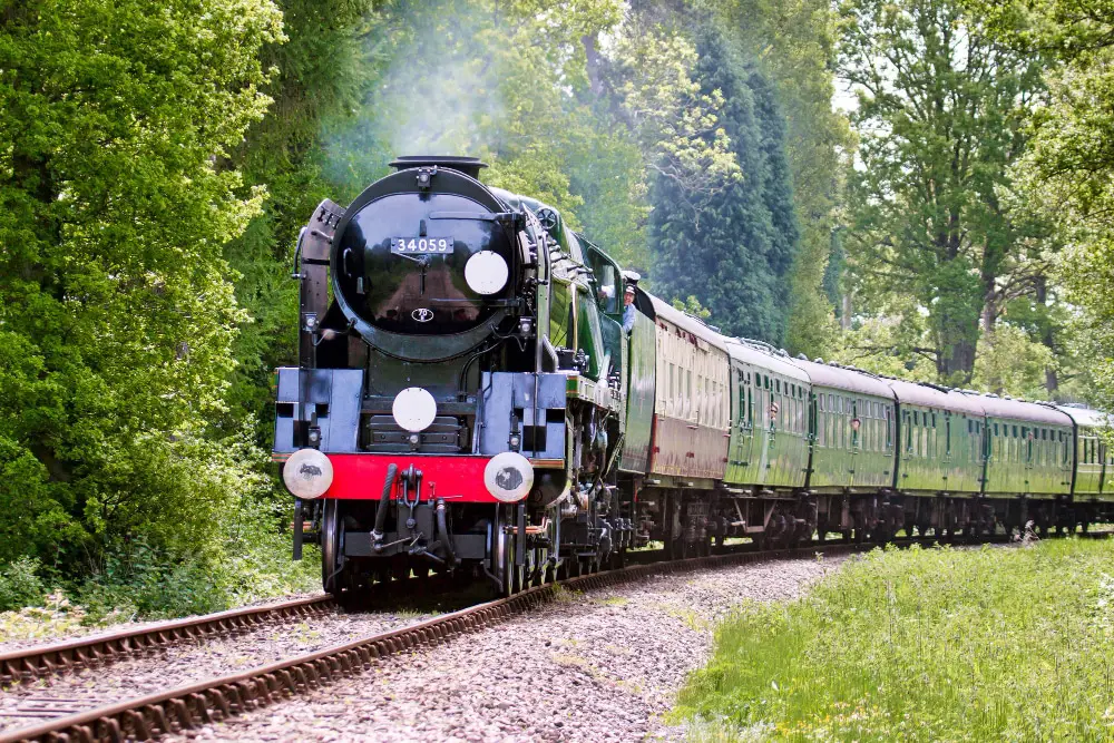 steam train on the track in the forest